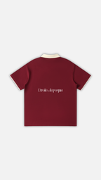 Contrast Collar Raglan Polo Shirt